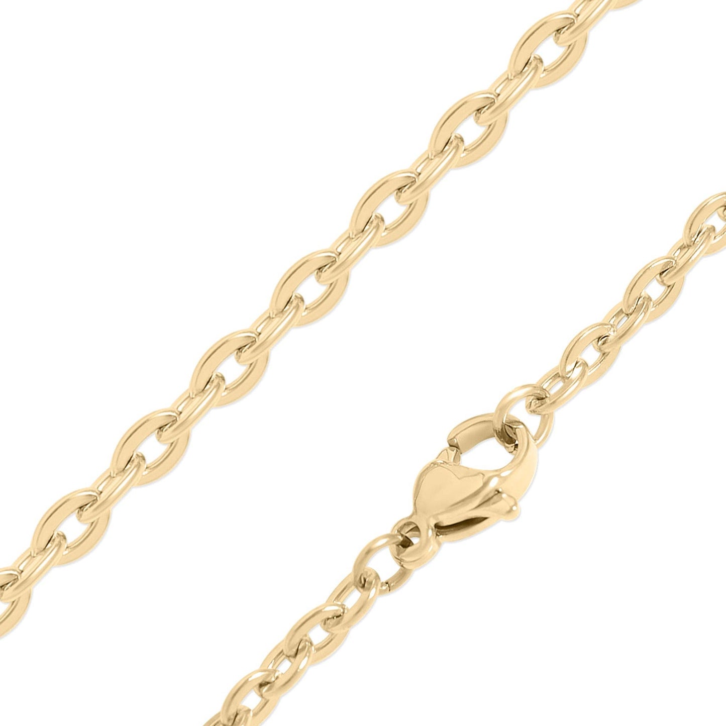 WJW - 18K Gold PVD Stainless Steel Flat Oval Loop Chain: 18" / 2mm